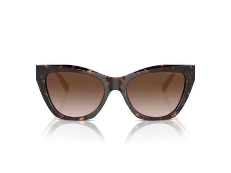 Emporio Armani Solbriller EA 4176 587913