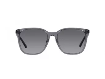 Emporio Armani Solbriller EA 4206D 5029T3