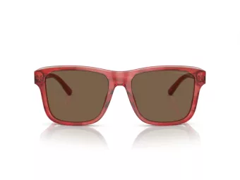 Emporio Armani Solbriller EA 4208 605373