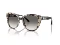 Emporio Armani Solbriller EA 4214U 605811