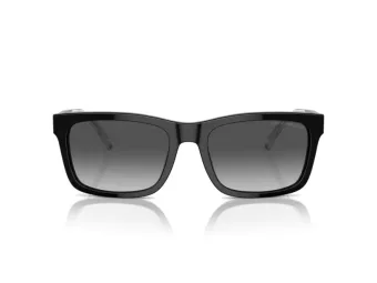 Emporio Armani Solbriller EA 4224 5017T3