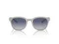 Emporio Armani Solbriller EA 4225U 610087