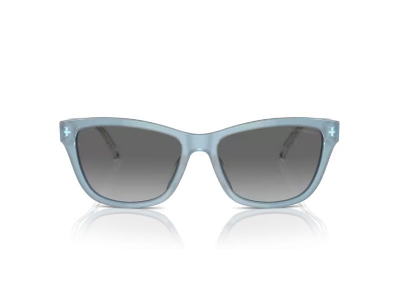 Emporio Armani Solbriller EA 4227U 609611