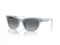 Emporio Armani Solbriller EA 4227U 609611