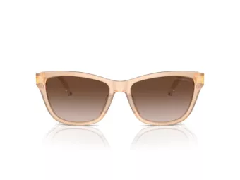 Emporio Armani Solbriller EA 4227U 609813