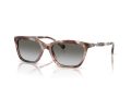 Emporio Armani Solbriller EA 4238 61953C