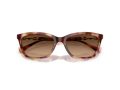 Emporio Armani Solbriller EA 4238 619674