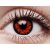 ColourVUE Crazy One-Day Volturi (2 linser)