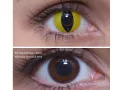 ColourVUE Crazy Cat's Eye (2 linser)