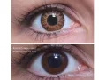 ColourVUE Glamour Honey (2 linser)