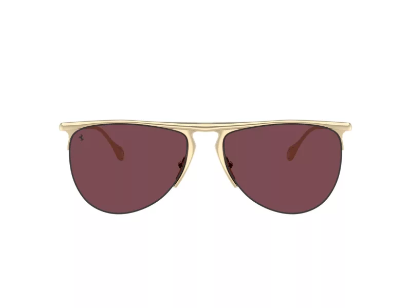 Ferrari Solbriller FH 1016 106/1E