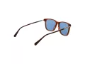 Gant Solbriller GA 00005 45V