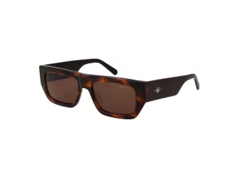 Gant Solbriller GA 00013 52E