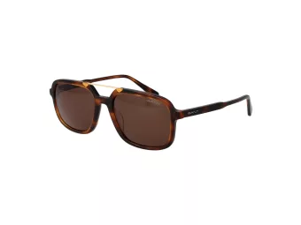 Gant Solbriller GA 00016 52E