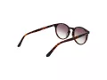 Gant Solbriller GA 7110 52P
