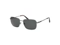 Gant Solbriller GA 7210 06D