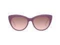Gant Solbriller GA 8082 67E