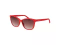Gant Solbriller GA 8084 67F