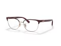 Coach Briller HC 5130 9385
