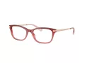 Coach Briller HC 6142 5551