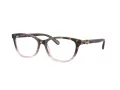 Coach Briller HC 6180 5650