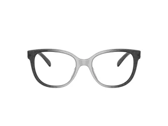 Coach Briller HC 6194U 5710