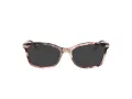 Coach Briller HC 6219U 5528