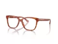 Coach Briller HC 6242U 5774