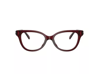 Coach Briller HC 6247U 5393