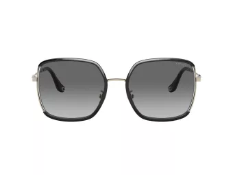Coach C8000 Solbriller HC 7139BD 934611