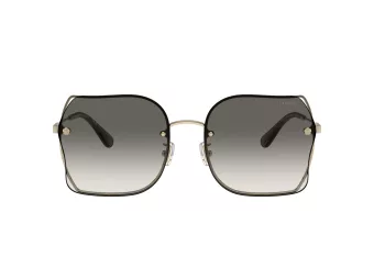 Coach Ch574 Solbriller HC 7150D 900511