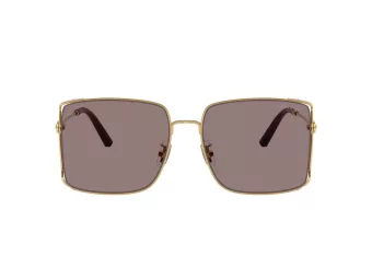 Coach Cw429 Solbriller HC 7174D 94417N