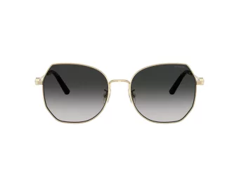 Coach Cad79 Solbriller HC 7175 90053C