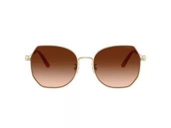 Coach Cad79 Solbriller HC 7175 900574