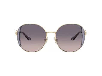 Coach Cad73 Solbriller HC 7176B 900536