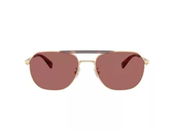 Coach Cae80 Solbriller HC 7178 90050H