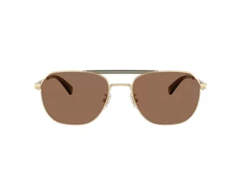 Coach Cae80 Solbriller HC 7178 900573