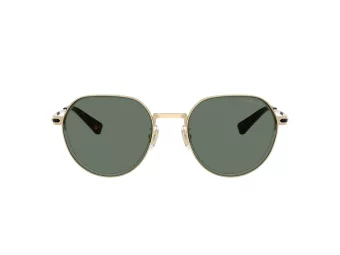 Coach Cae81 Solbriller HC 7179 90053H