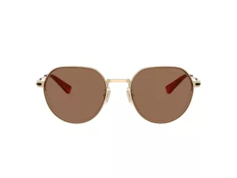 Coach Cae81 Solbriller HC 7179 900573