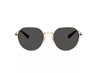 Coach Cae81 Solbriller HC 7179 900587