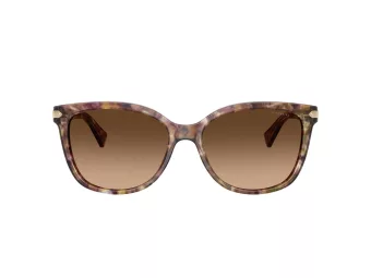 Coach L109 Solbriller HC 8132 528713