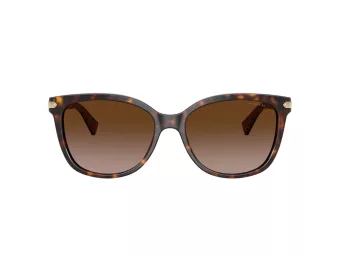 Coach L109 Solbriller HC 8132 529113