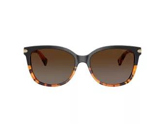 Coach L109 Solbriller HC 8132 5438T5