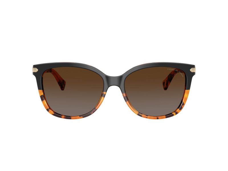 Coach L109 Solbriller HC 8132 5438T5