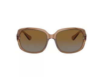 Coach L149 Solbriller HC 8169 5561T5