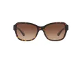 Coach L1010 Solbriller HC 8232 550713