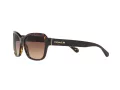 Coach L1010 Solbriller HC 8232 550713