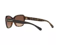 Coach L1010 Solbriller HC 8232 550713