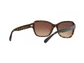 Coach L1010 Solbriller HC 8232 550713