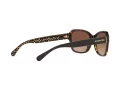 Coach L1010 Solbriller HC 8232 550713